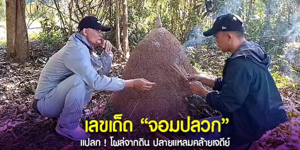 เลขเด็ด จอมปลวก งวดวันที่ 17 ม.ค. 67