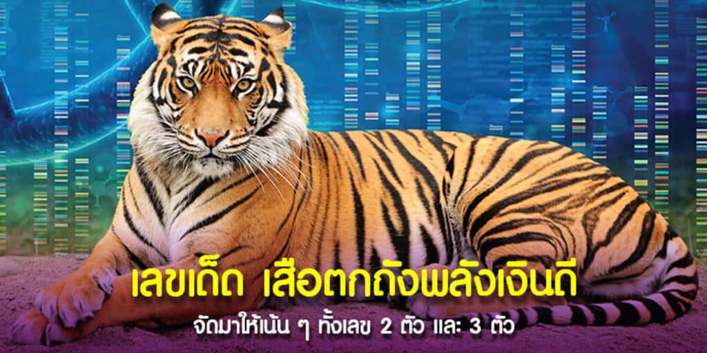 เลขเด็ดเสือตกถังพลังเงินดี งวด 1-6-2567